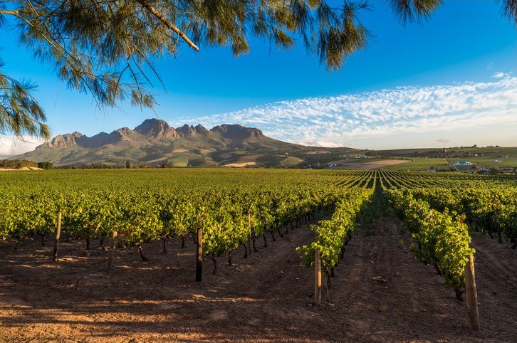 Cape Winelands exclusive