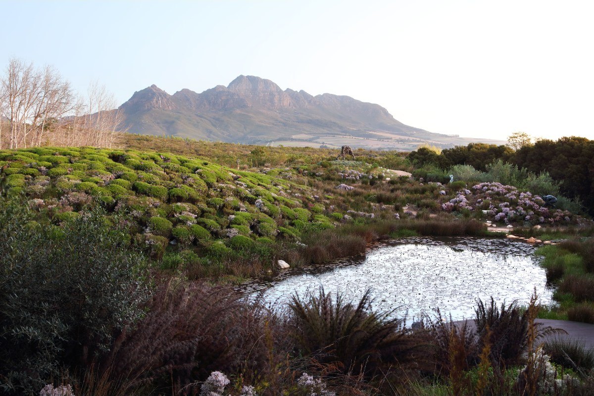 Art and wine in Stellenbosch and Franschhoek