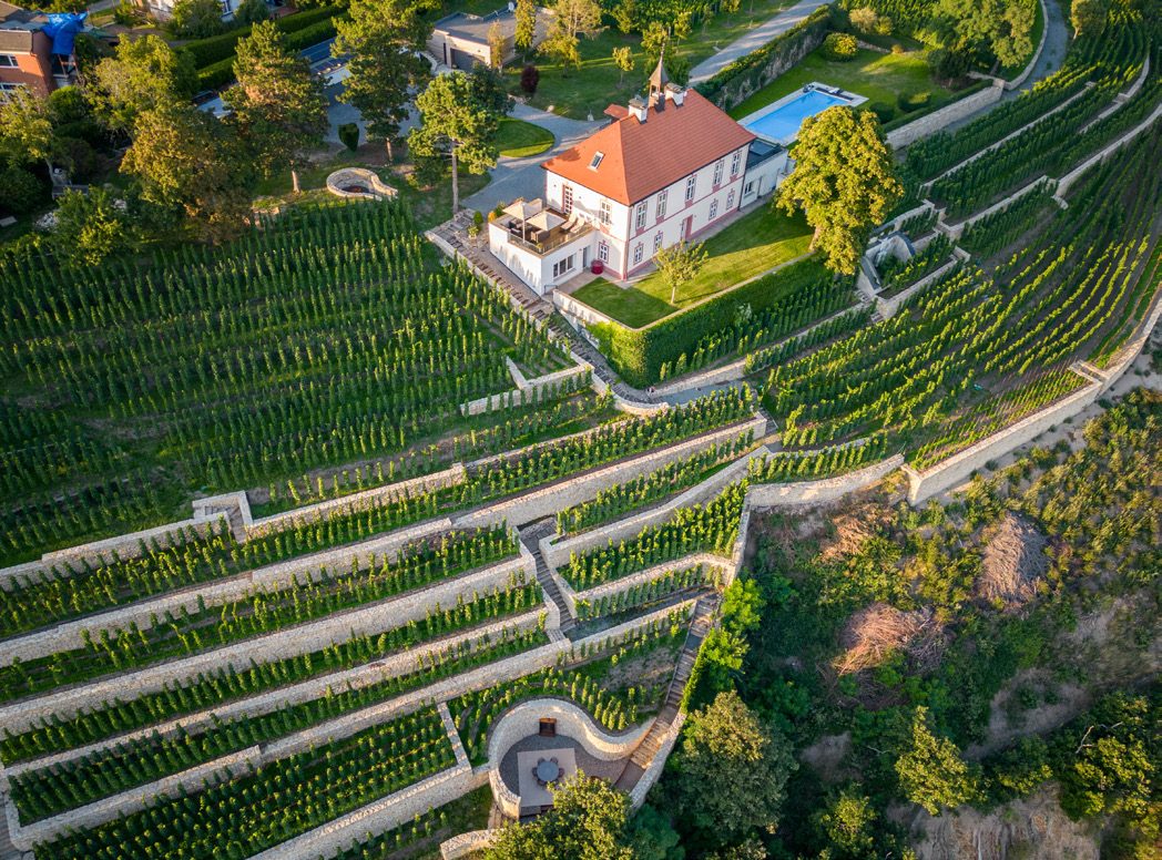 Troja vineyard overlooking Prague