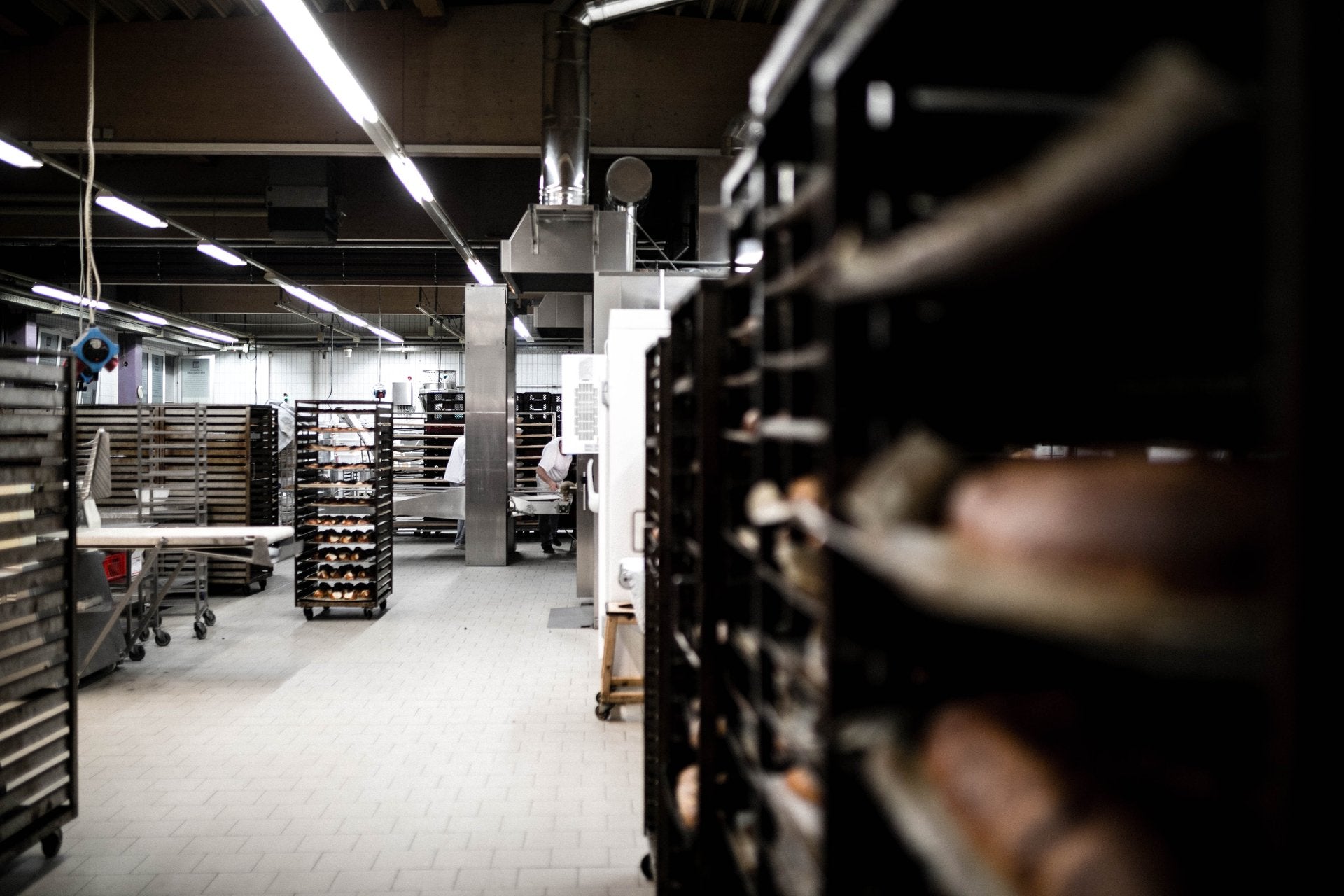 Pressefoto 02: Blick in die Backstube von Fickenschers Backhaus