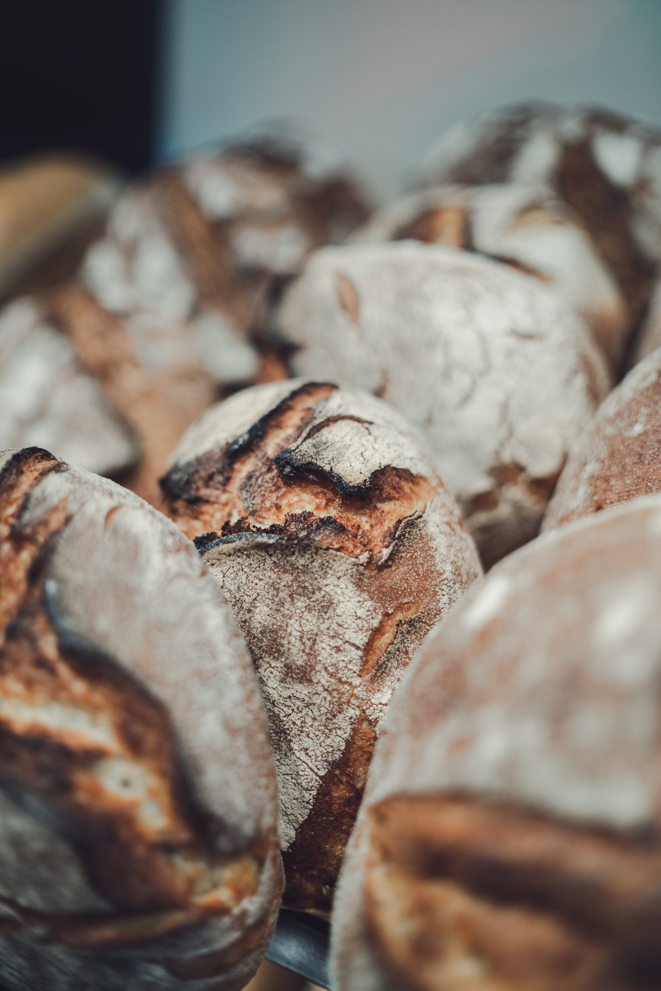 Pressefoto 08: Rustikale Brotlaibe in Nahaufnahme