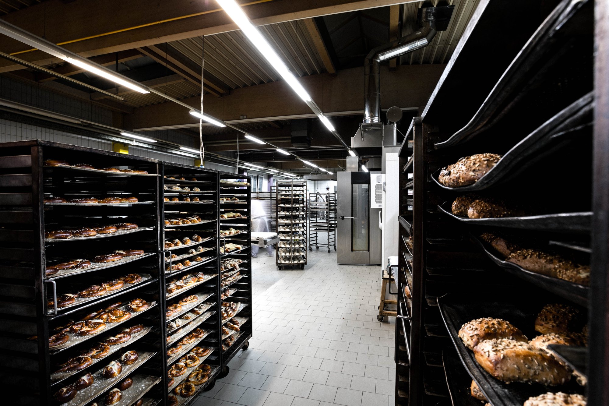 Pressefoto 04: Stikkenwagen mit Laugenbrezen und Saatenbrötchen in der Backstube