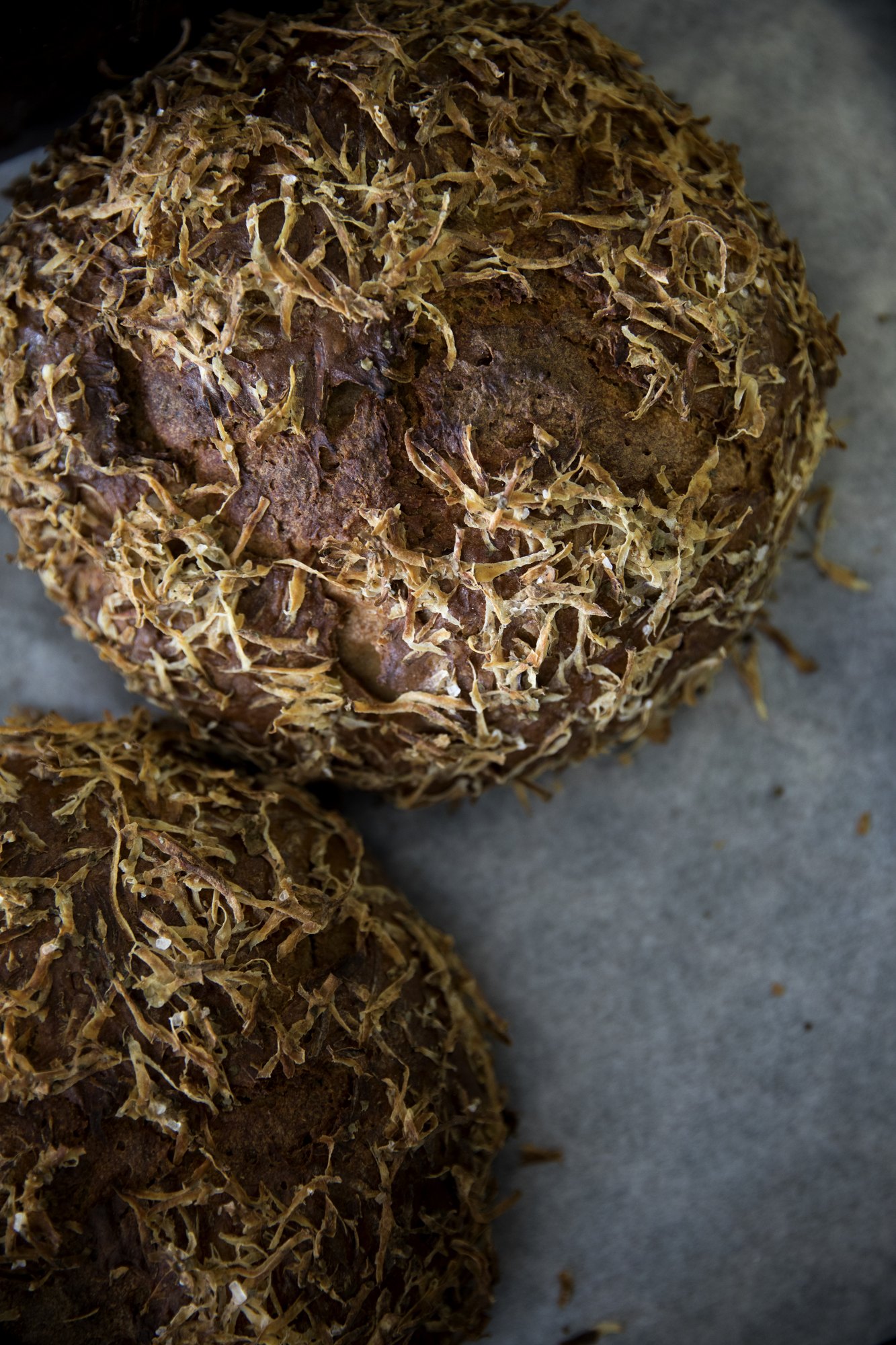 Pressefoto 28: Projekt Heimatbrot: Das Heimatbrot für Oberfranken