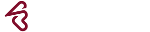 Fluence Marketing Group