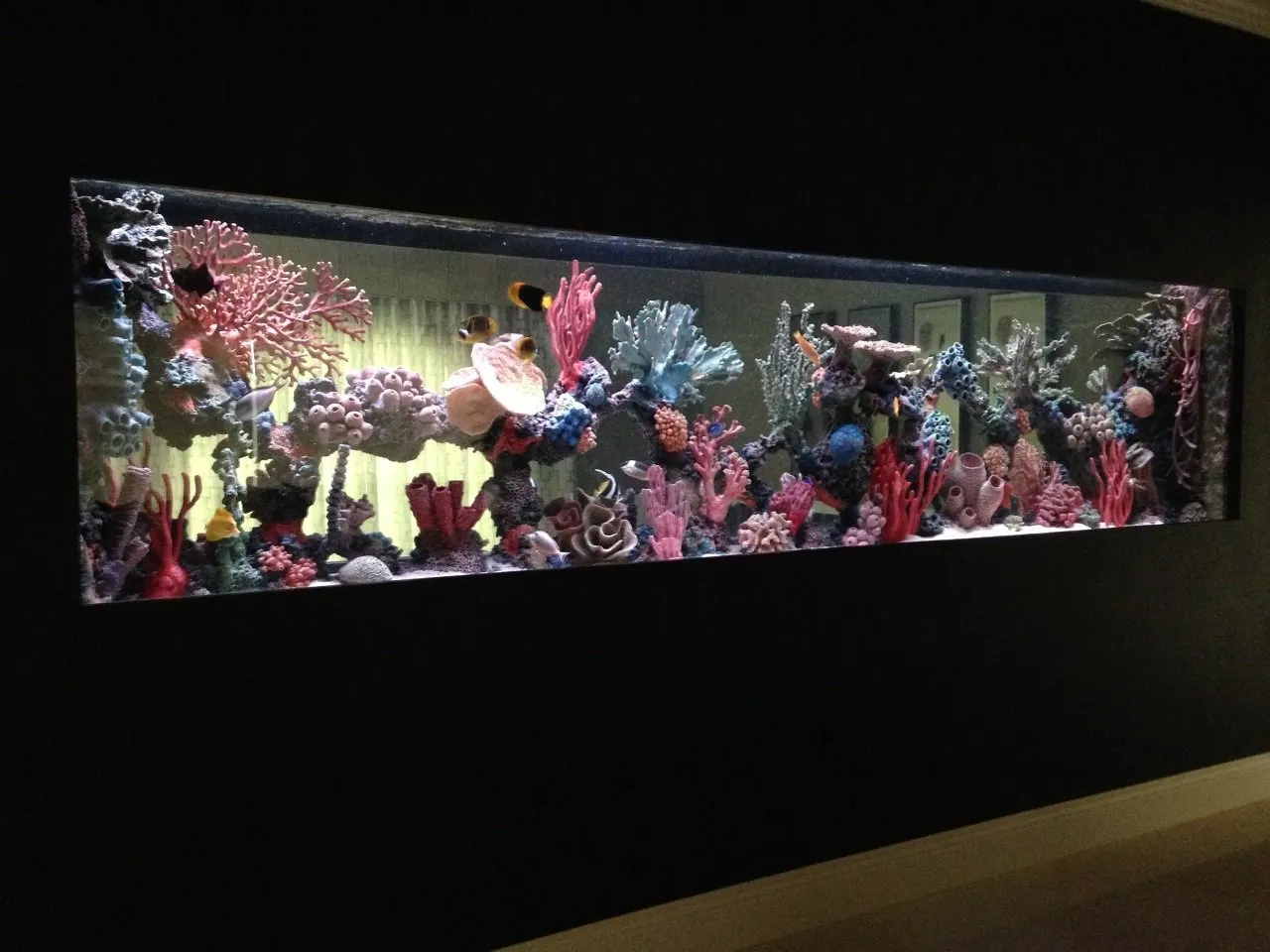 Custom in-wall saltwater aquarium installed by Southwest Seas