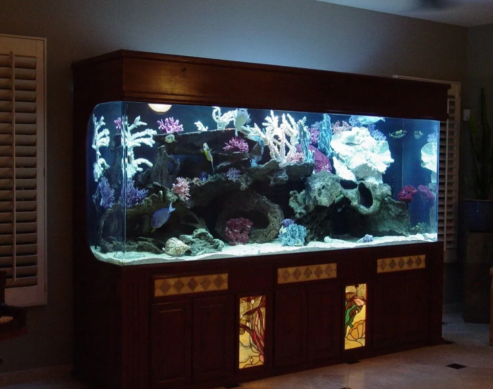 Aquarium by Southwest Seas