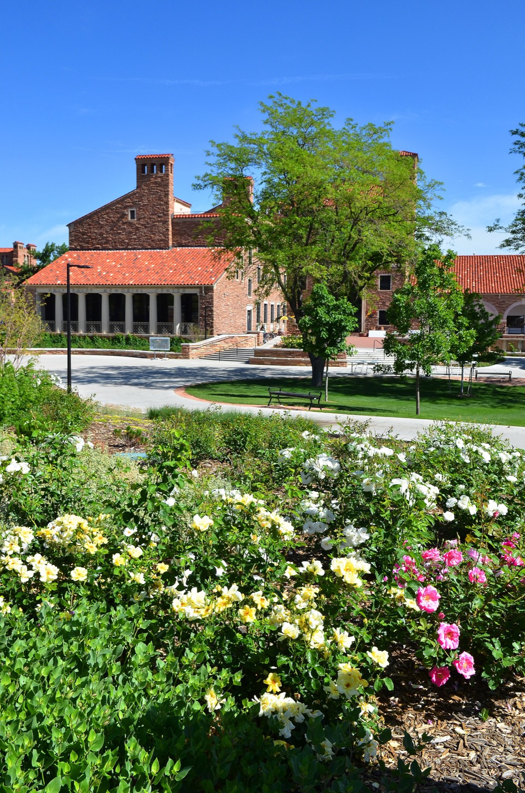 Spring flowers in front of the University Memorial Center at CU Boulder