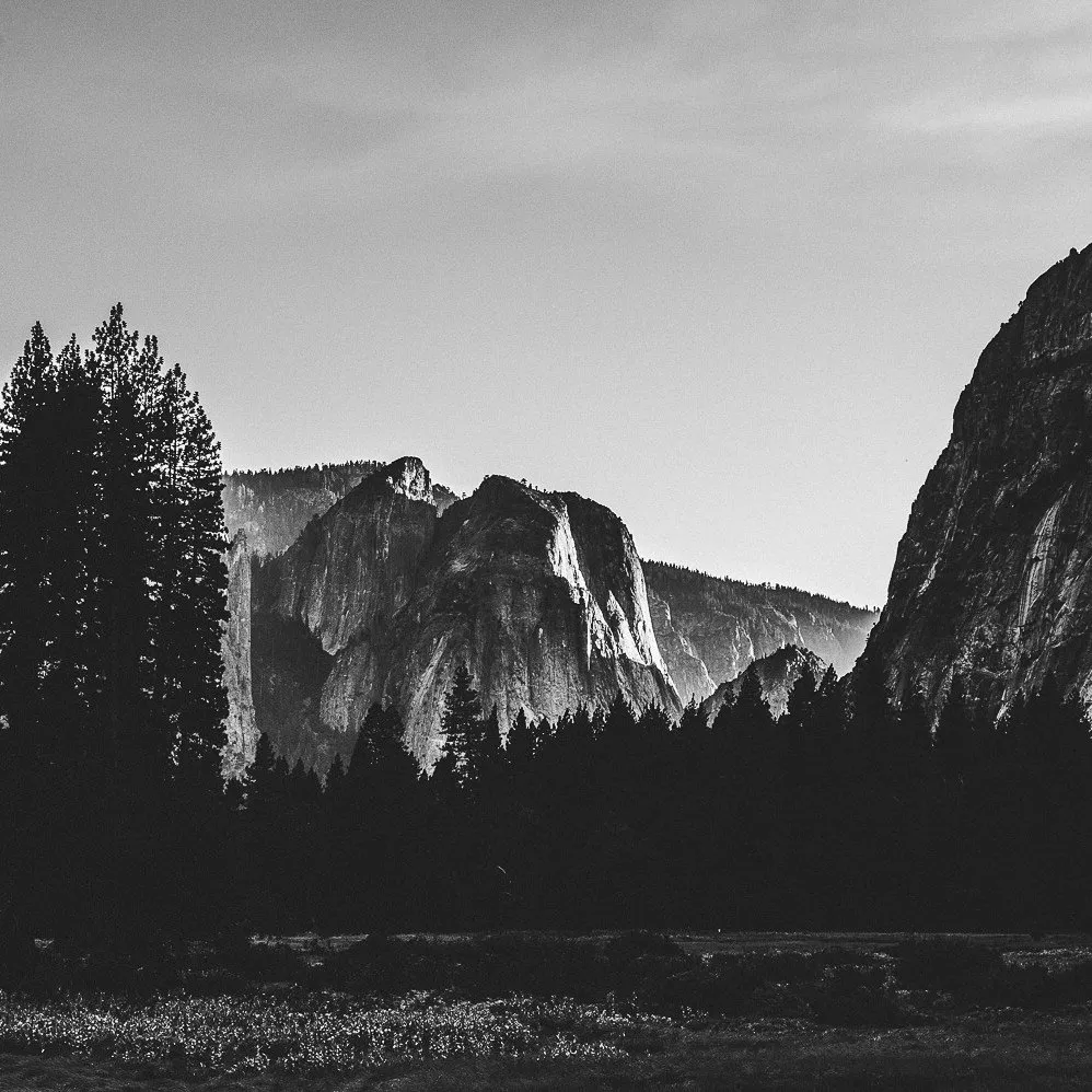 Black and white image of a mountain landscape with steep cliffs, dense pine trees in the foreground, and a clear sky above.