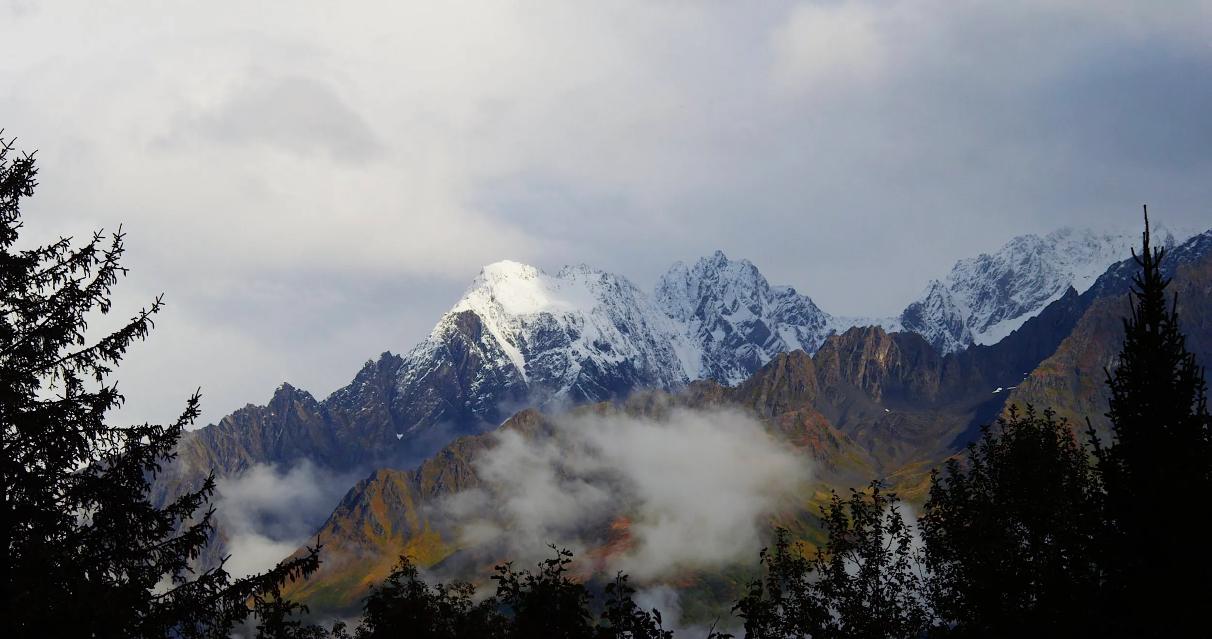 Snow-covered mountain peaks in low clouds, framed by dark evergreen trees.