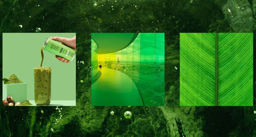 Green-themed creative photography shot at POLA Studio in Covington, Louisiana.