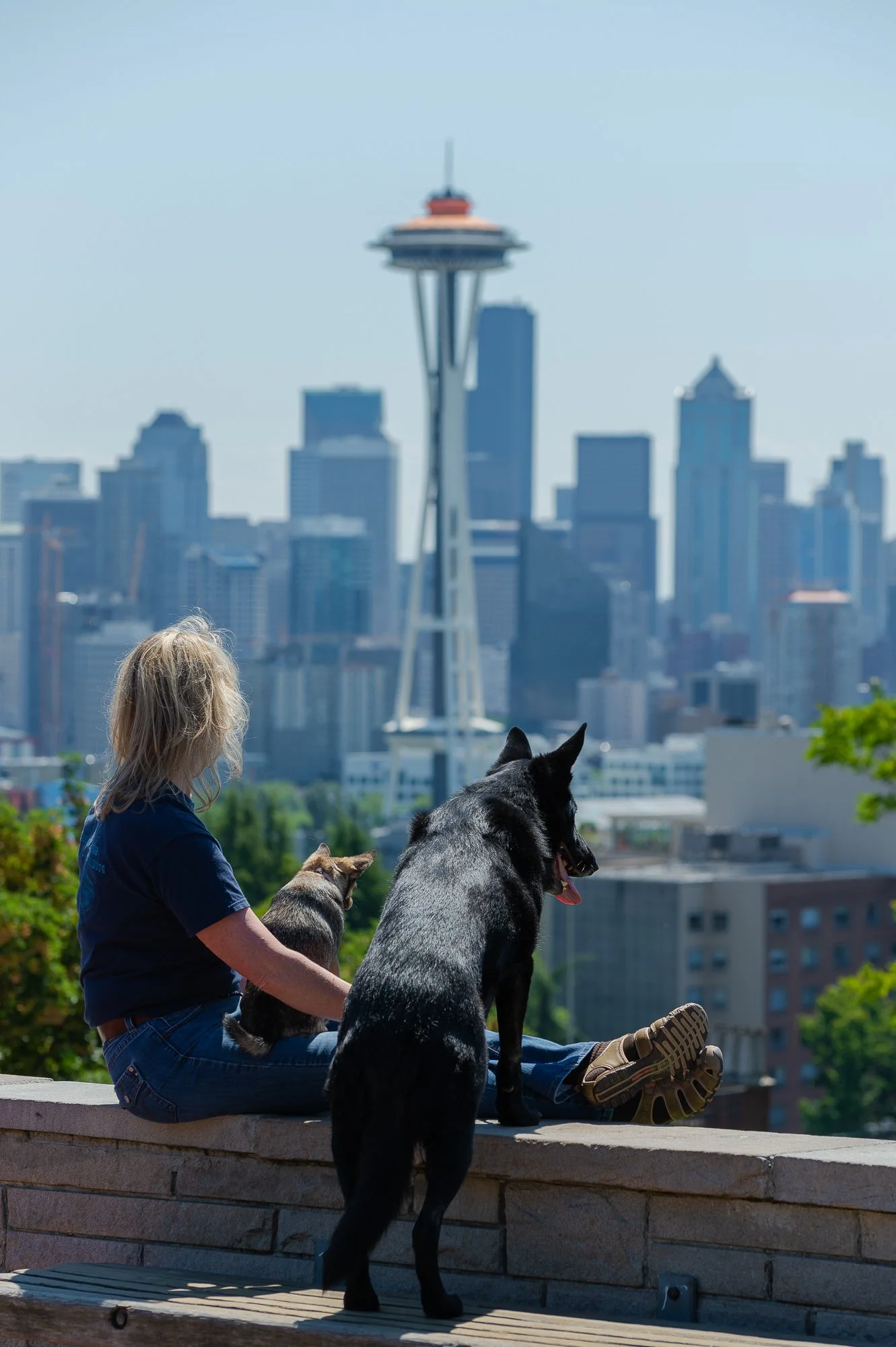 Think Like Your Dog photo 5