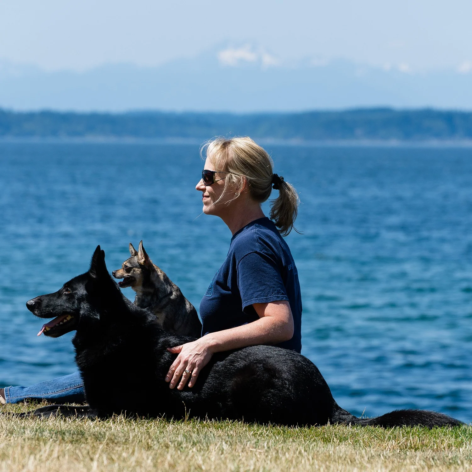Think Like Your Dog photo 1