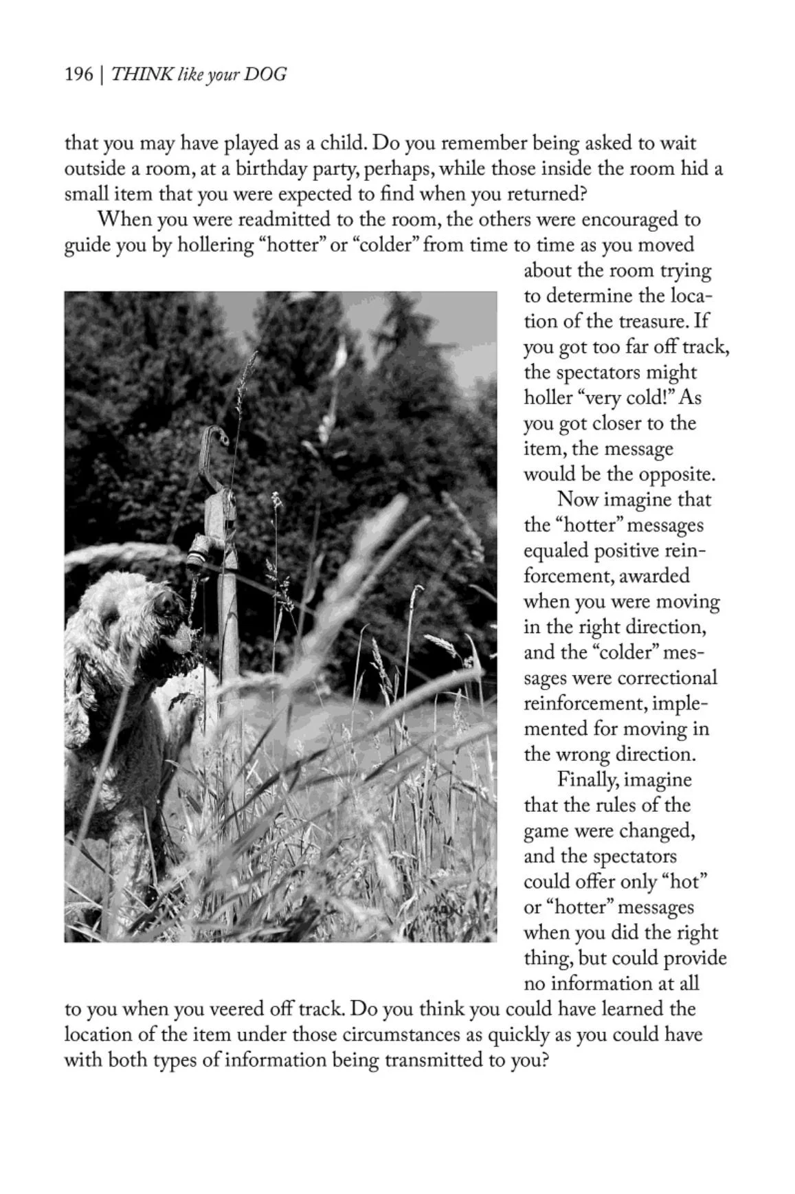 Think Like Your Dog photo 33