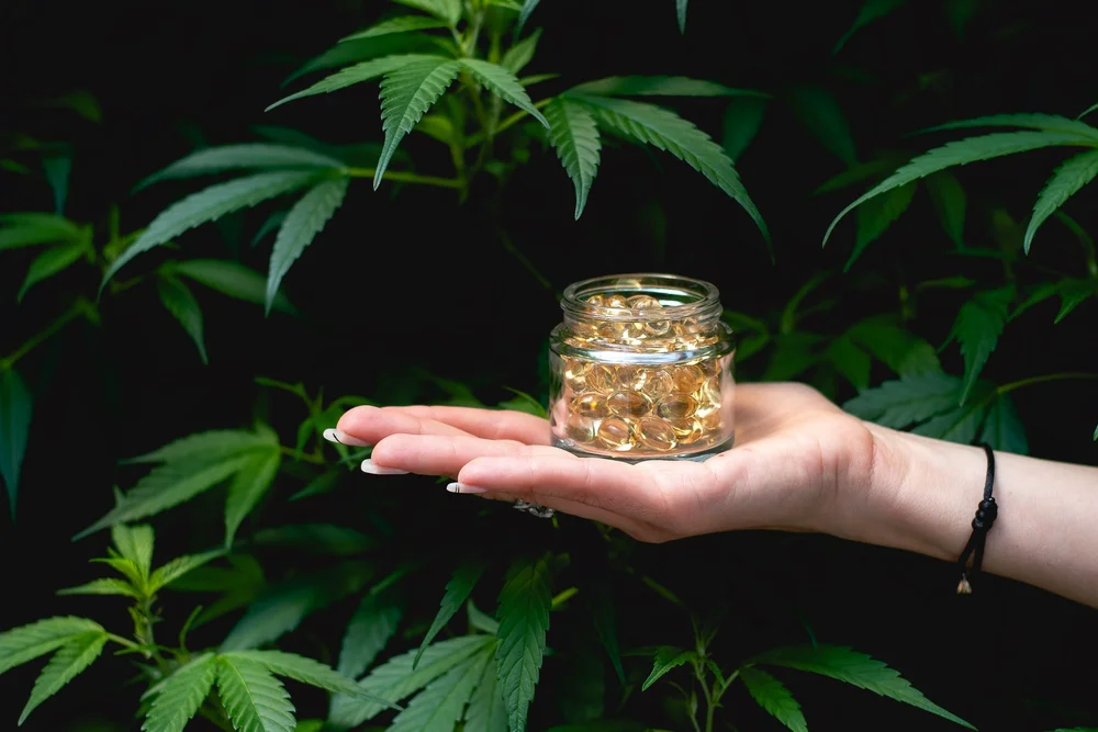 Hemp Farms of New York
