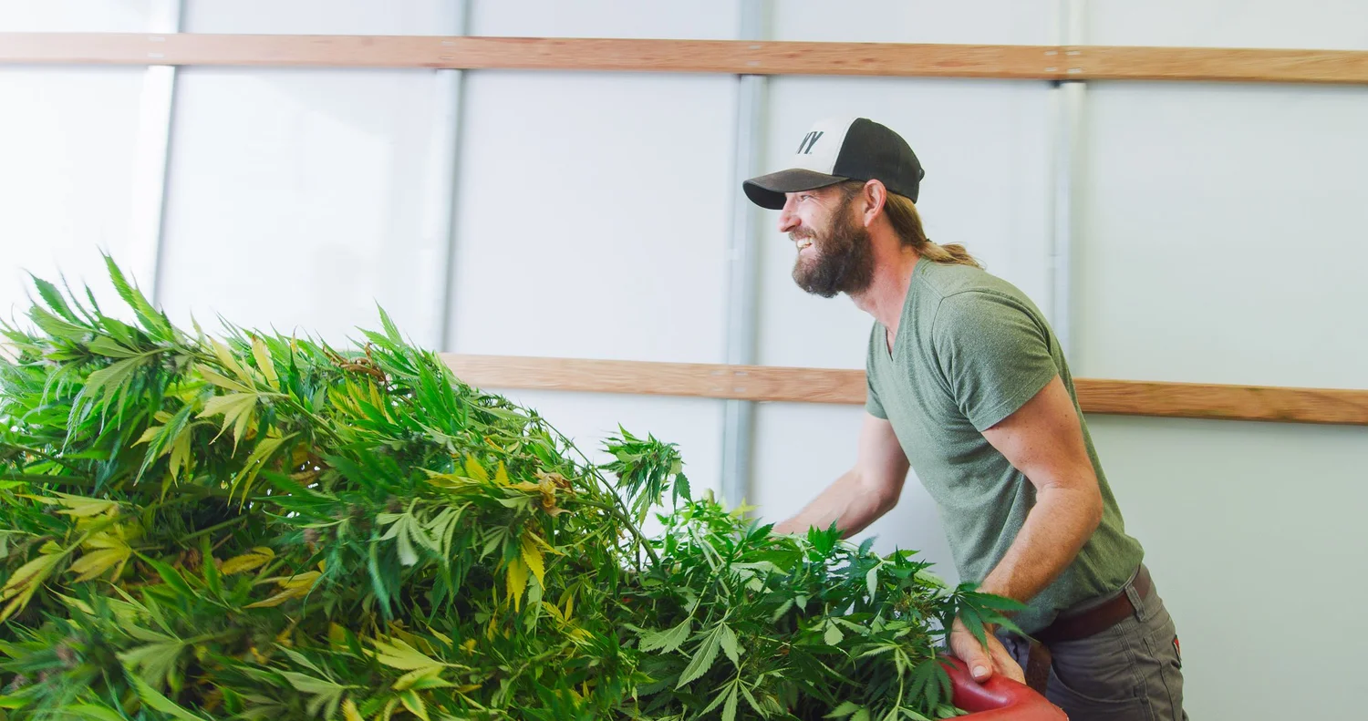 Hemp Farms of New York photo 19