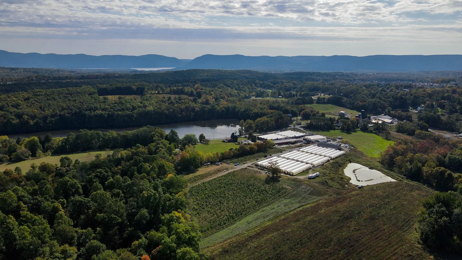 Hemp Farms of New York photo 34
