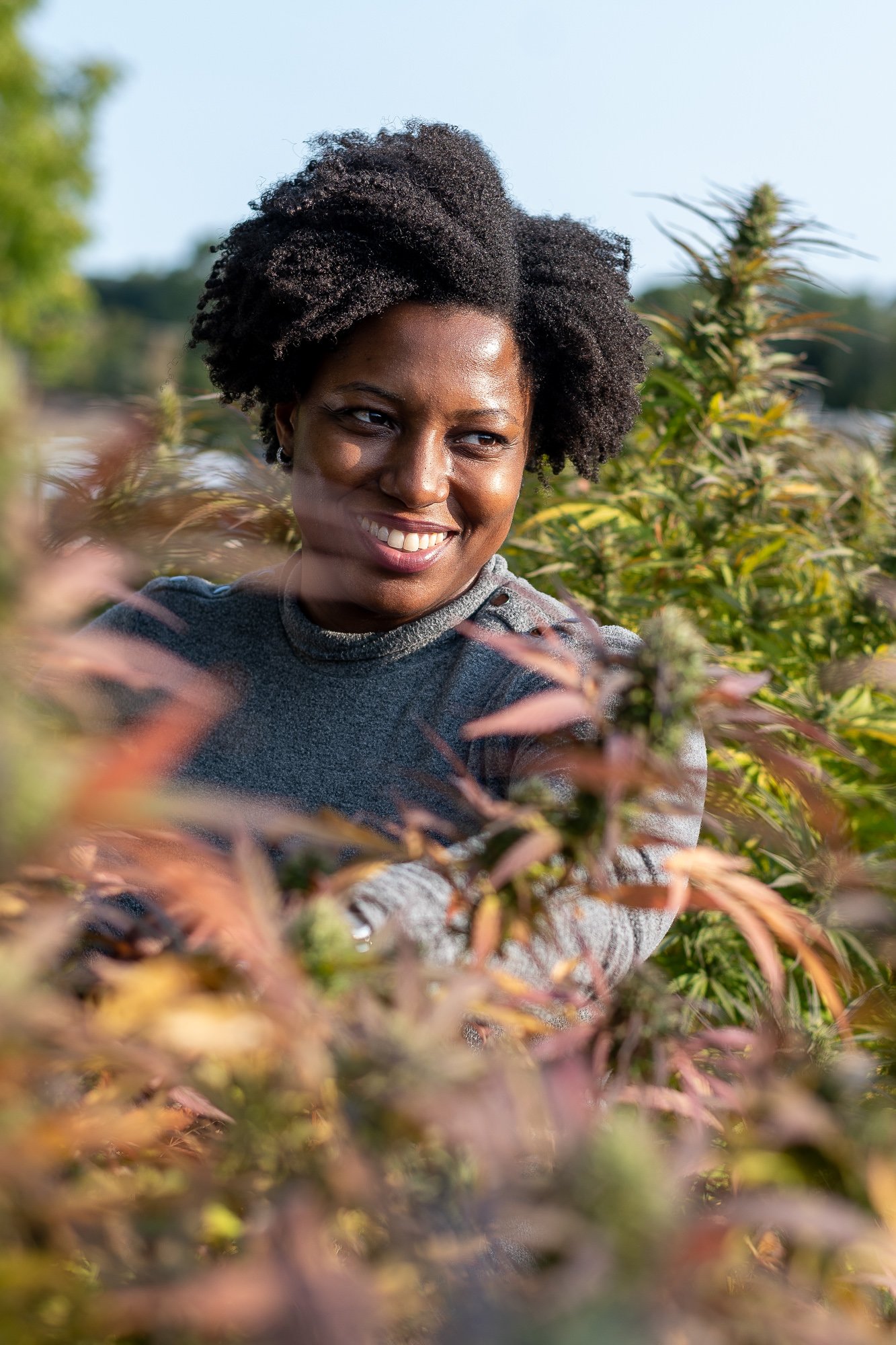 Hemp Farms of New York Video Sample photo 19