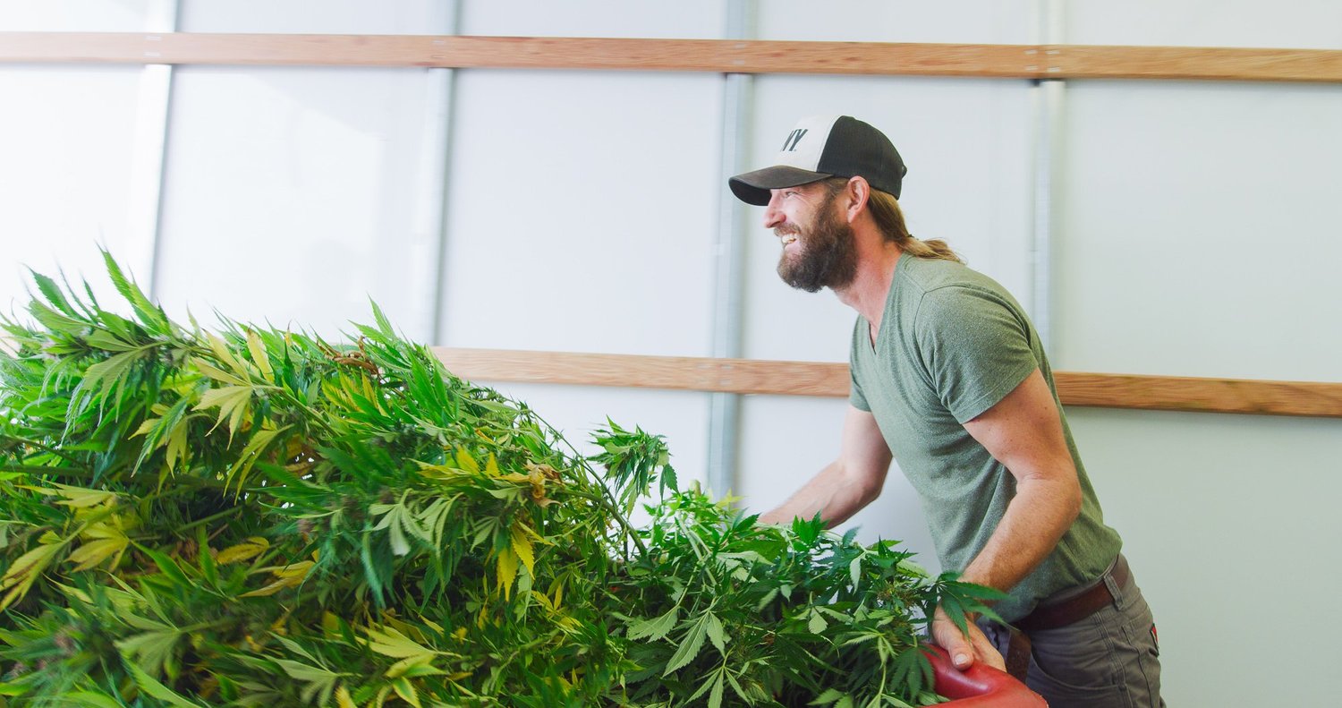 Hemp Farms of New York Video Sample photo 18