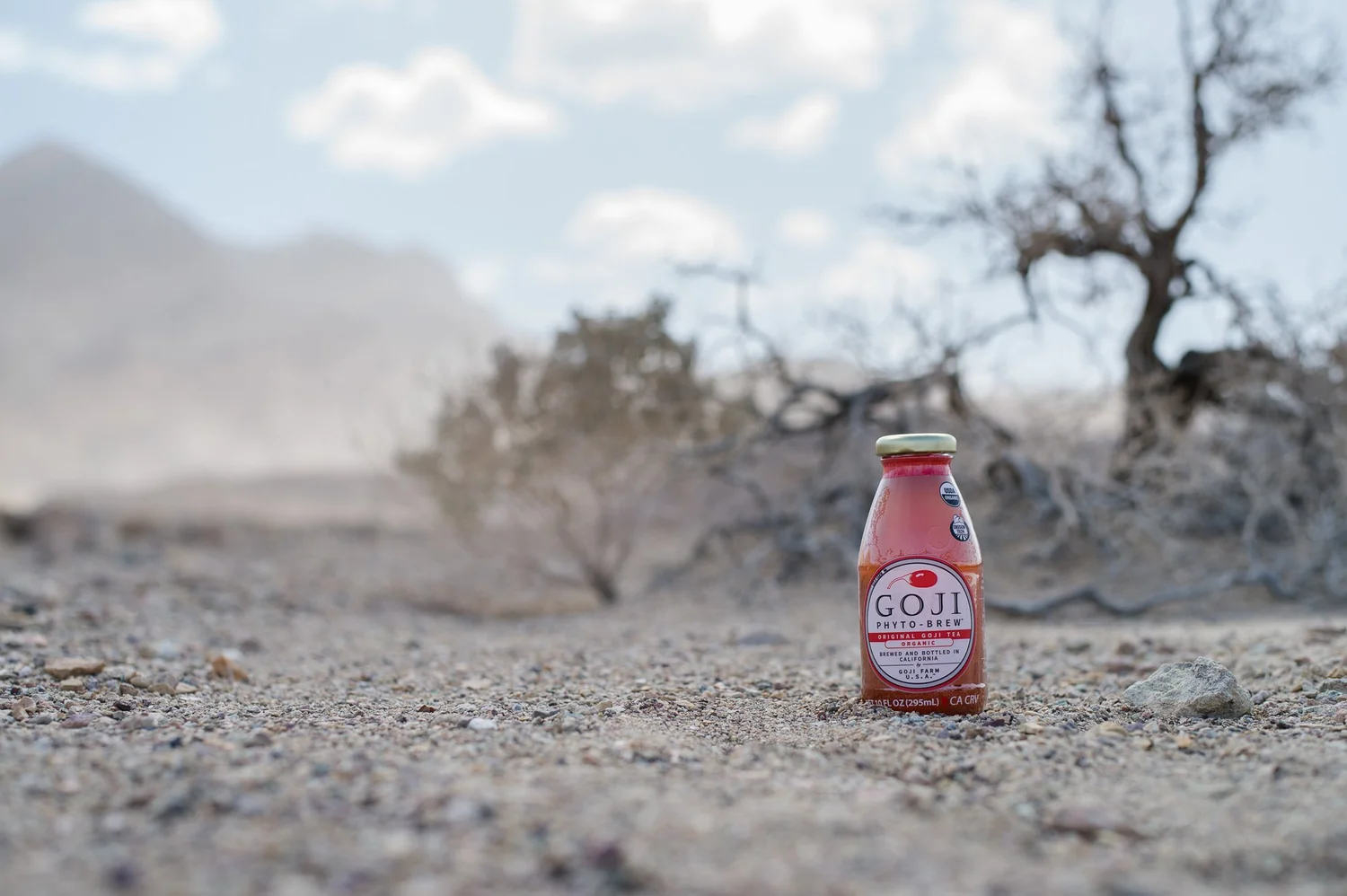 Goji Farm USA photo 6