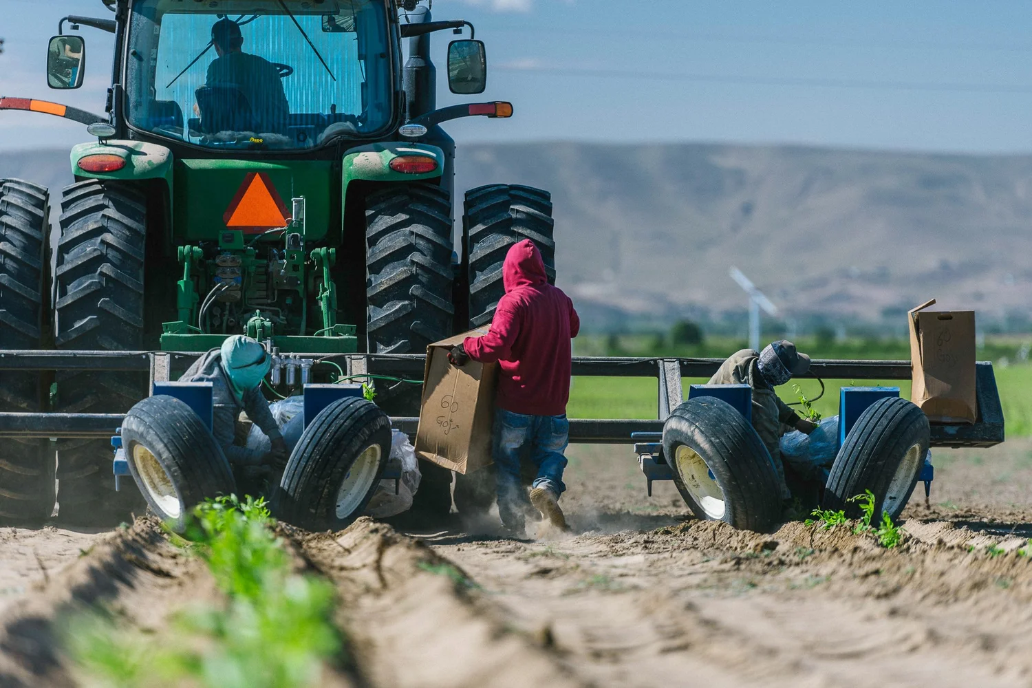 Goji Farm USA photo 9