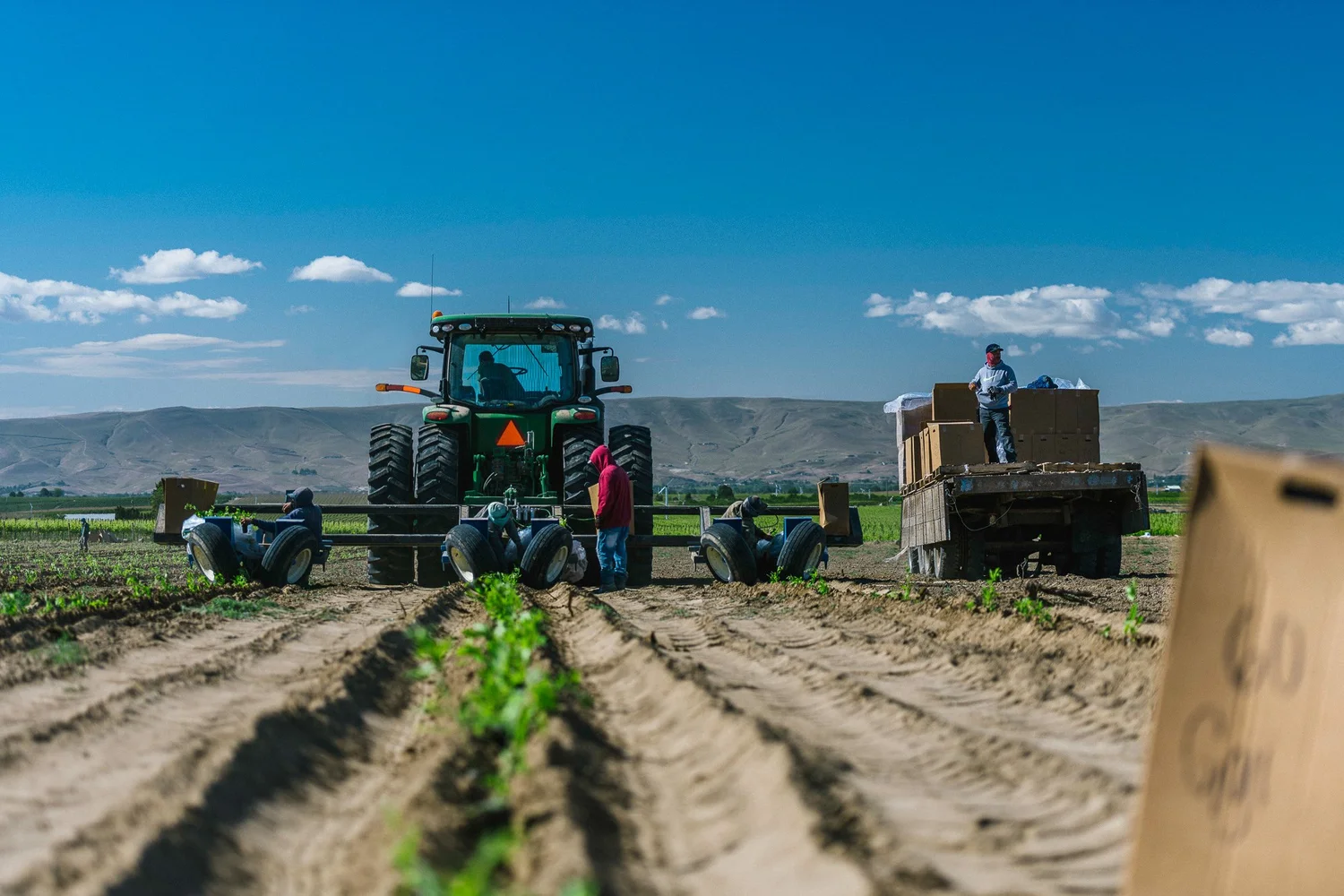 Goji Farm USA photo 19