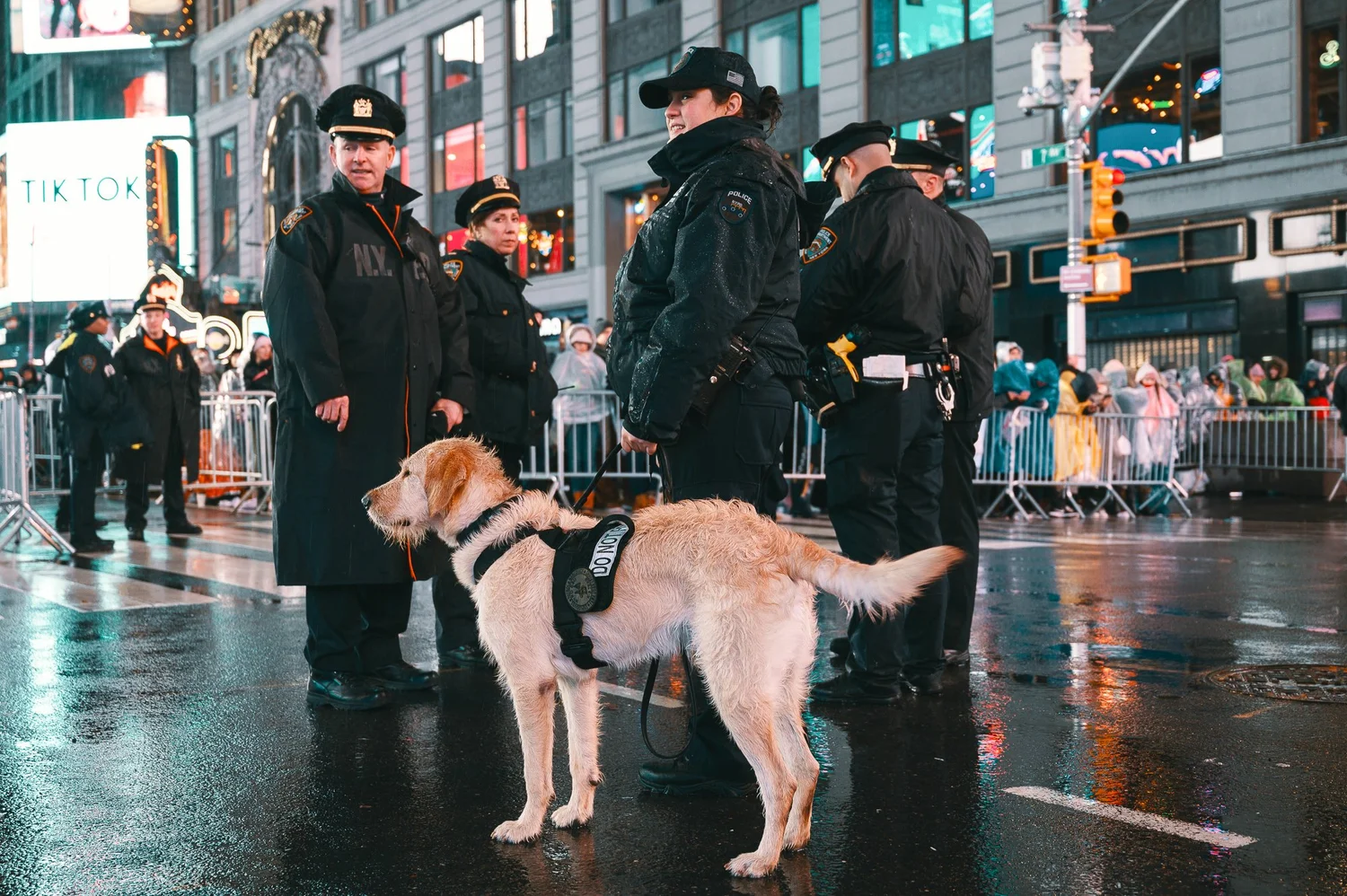 Times Square New Year’s Eve photo 94