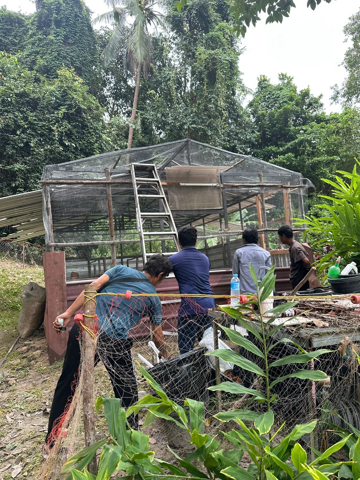 Three people raising the frame of the chicken coop together