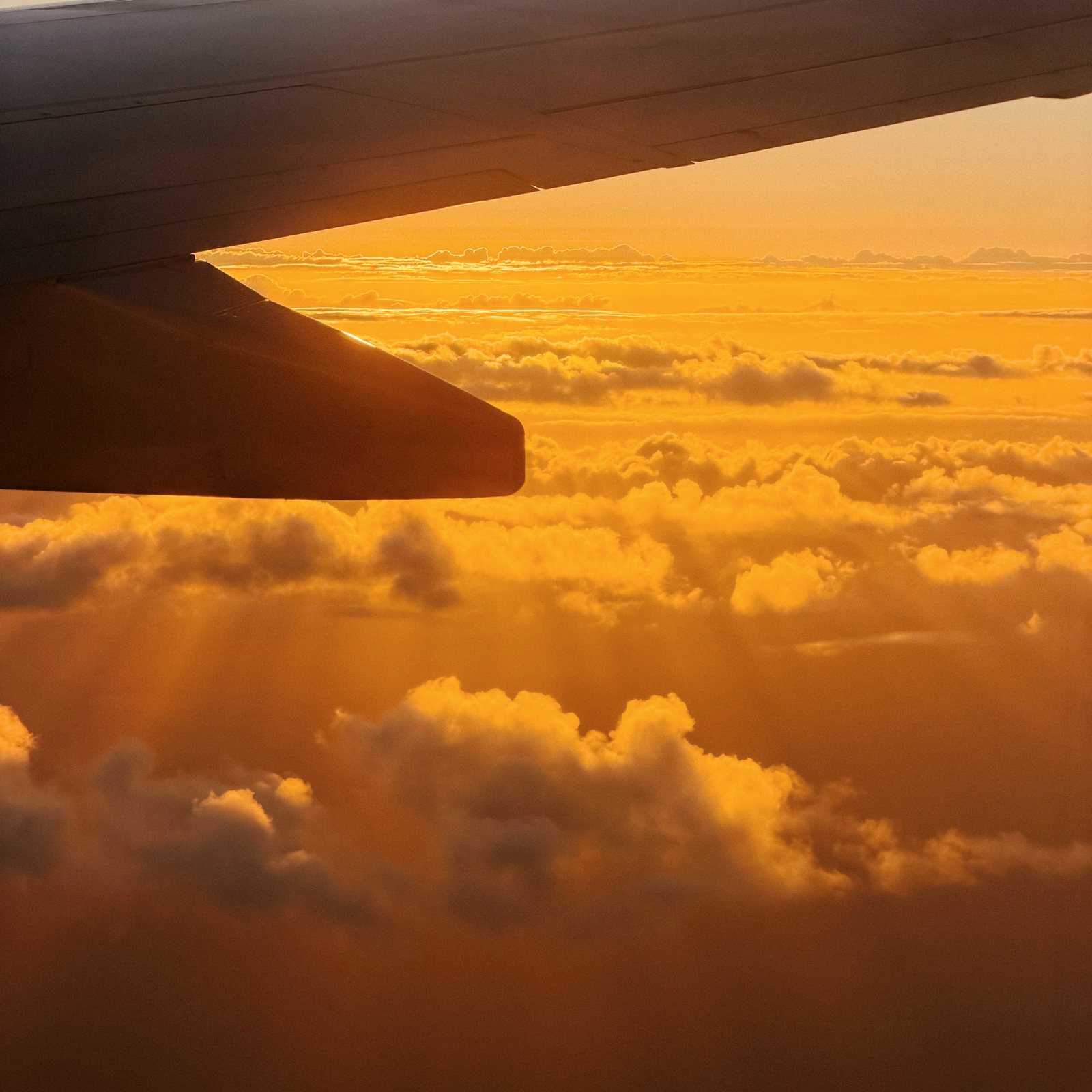 Aircraft wing above golden clouds at sunset