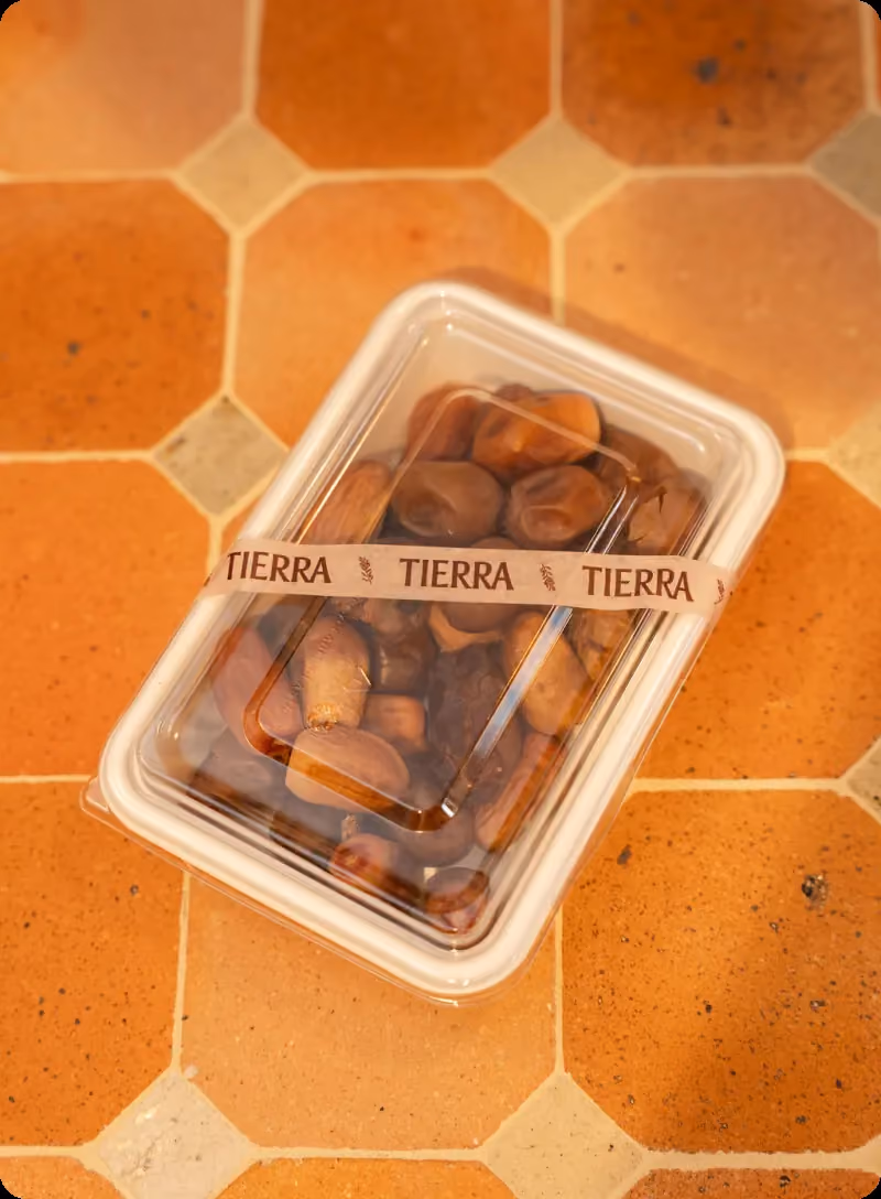 Tierra