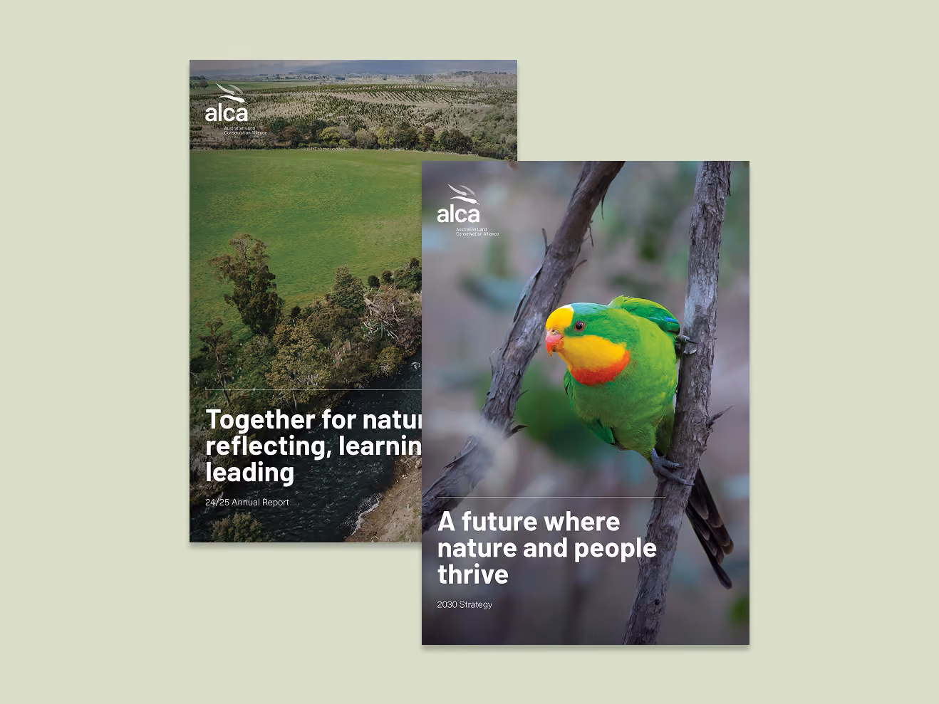 Brand uplift, strategic plan design, and annual report design