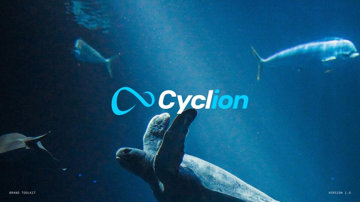 Cyclion