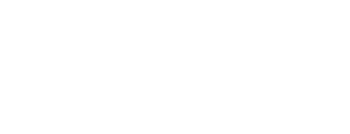 the DAVID DUNN group