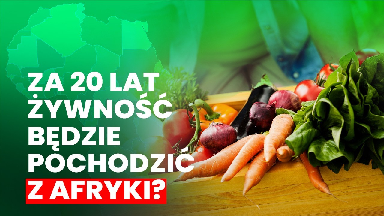 Rozwój czy ograniczanie? Gdzie jest klucz do globalnego bezpieczeństwa żywnościowego