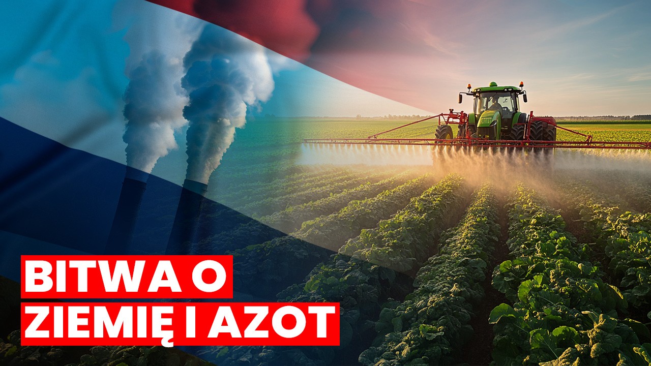 Holenderscy rolnicy w oczekiwaniu na rządowe decyzje
