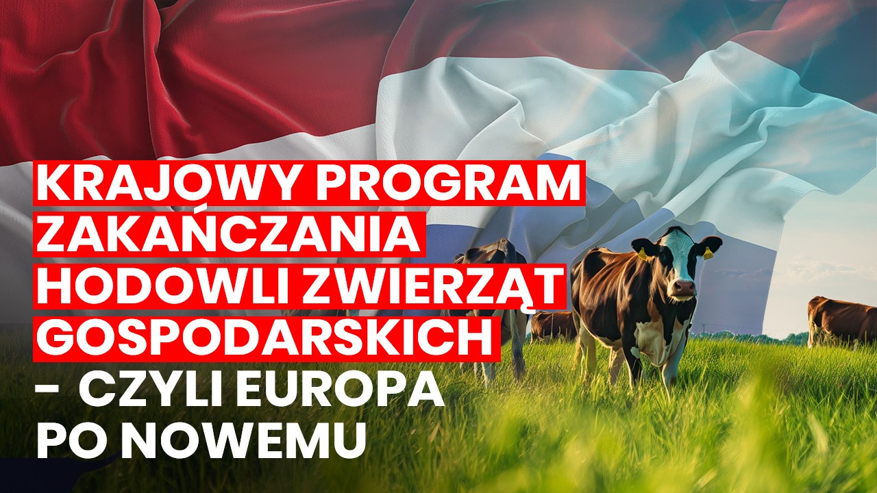 Coraz więcej sposobów na ograniczanie rolnictwa: nowe programy LBV i LBV-plus w Holandii