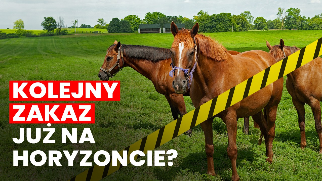 Europejska Inicjatywa Obywatelska „Koniec Ery Rzezi Koni”