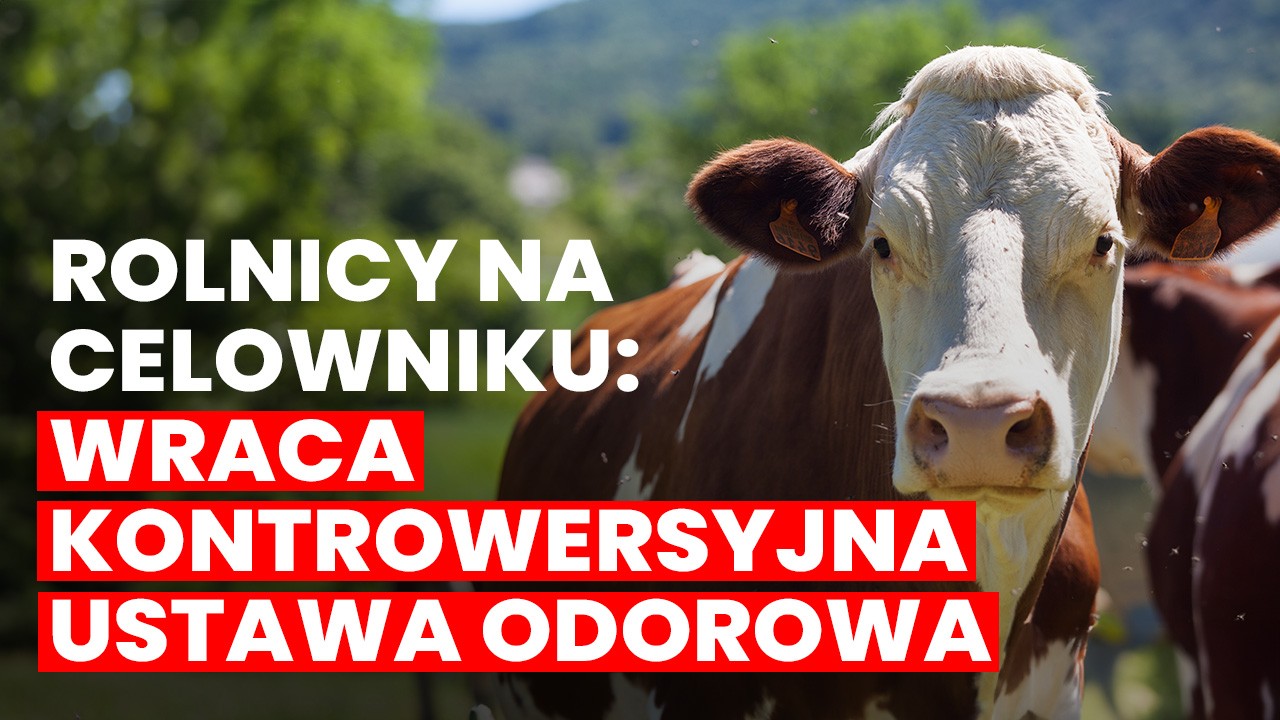 Rolnicy na celowniku: wraca kontrowersyjna ustawa odorowa