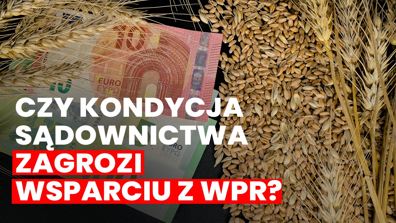 Pieniądze z WPR dla rolników już nie takie oczywiste?