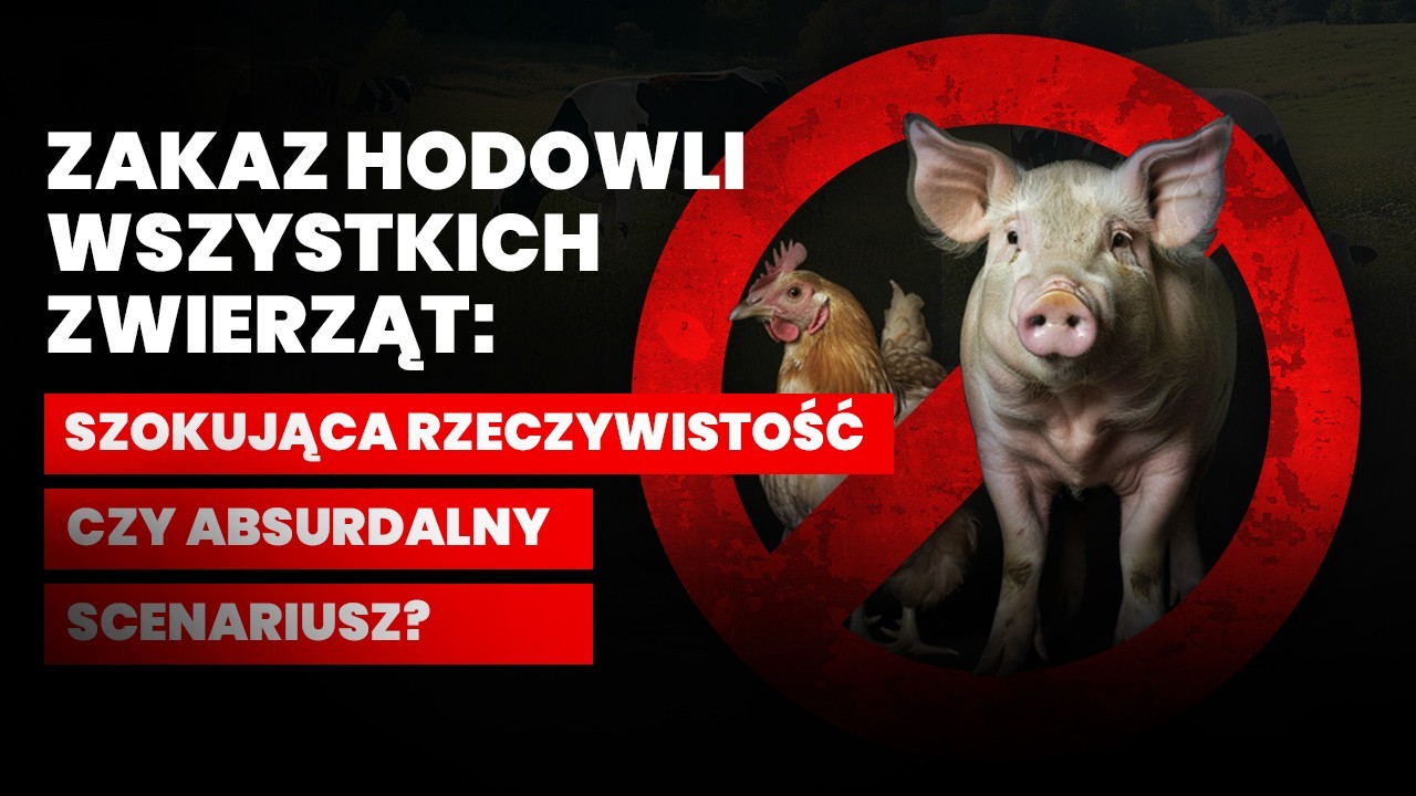 “Stop Okrucieństwu, Stop Ubojowi” – Nowa Inicjatywa Obywatelska w Unii Europejskiej