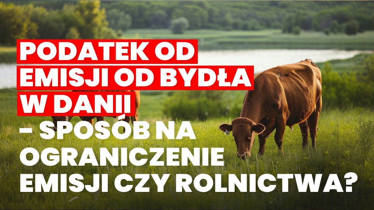 Dodatkowe obciążenia finansowe mogą doprowadzić do wzrostu kosztów produkcji, co w konsekwencji może uderzyć w rentowność gospodarstw rolnych.