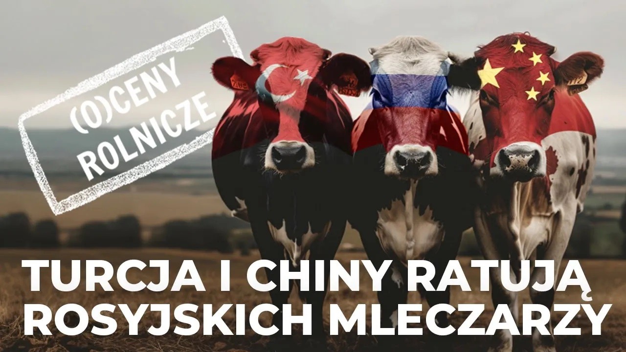 Oceny Rolnicze: Turcja i Chiny ratują rosyjskich mleczarzy