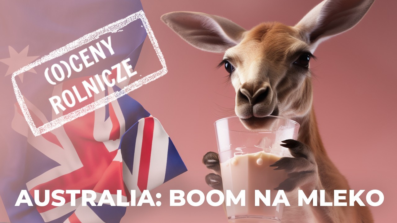 Australia: boom na mleko