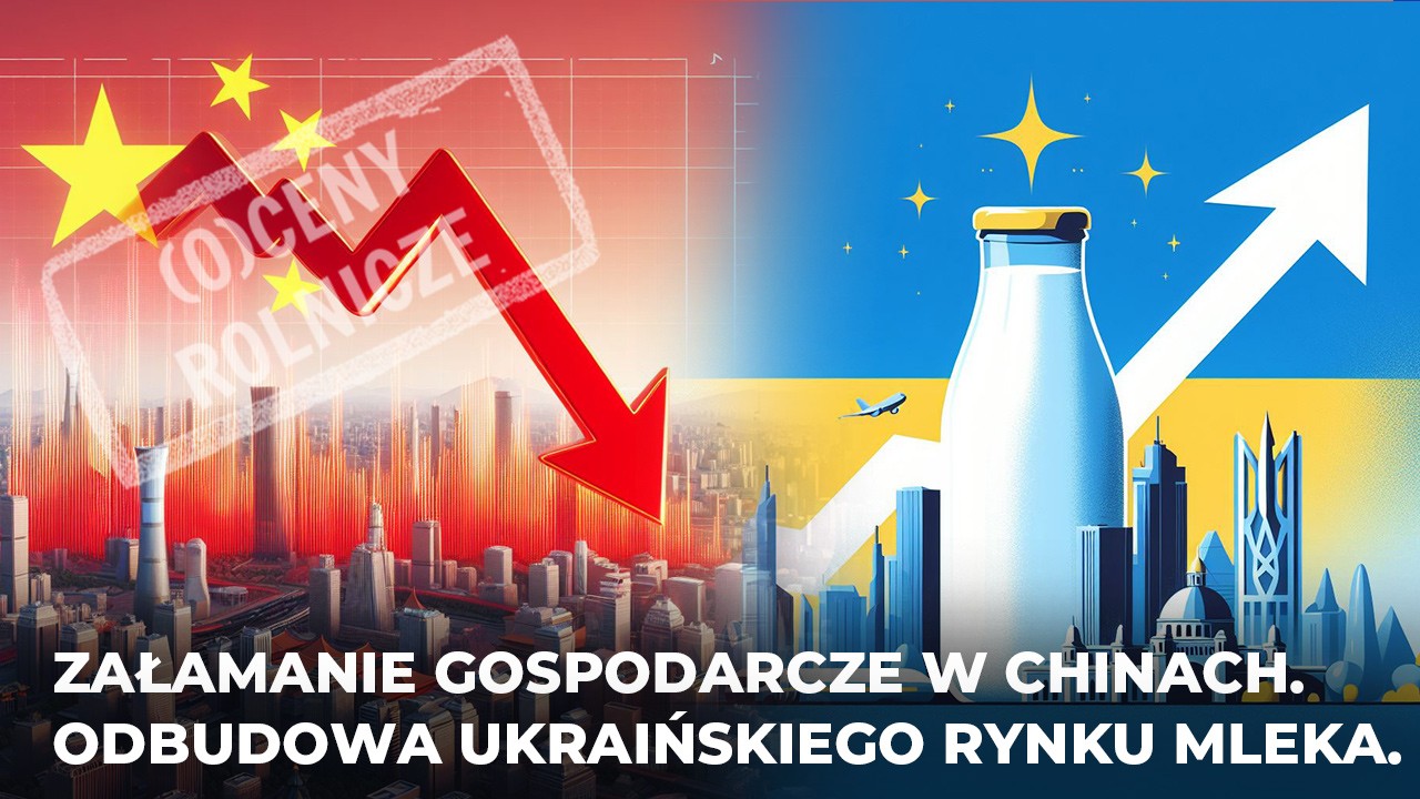 Załamanie gospodarcze w Chinach. Odbudowa ukraińskiego rynku mleka