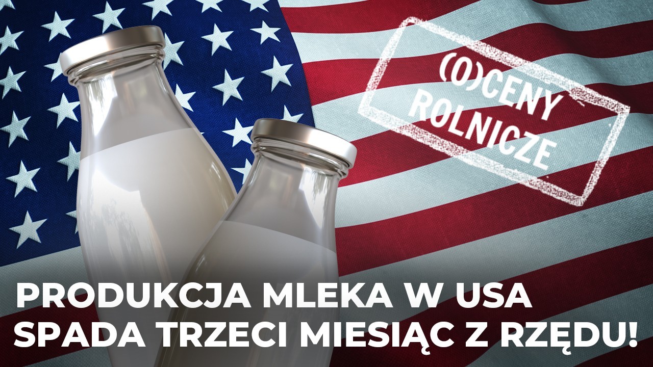 Amerykański rynek mleka wyczekuje ożywienia! Ekspert: Produkcja spada trzeci miesiąc z rzędu