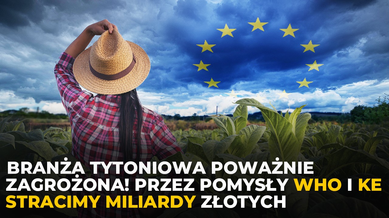 Branża tytoniowa poważnie zagrożona! Przez pomysły WHO i KE stracimy miliardy złotych