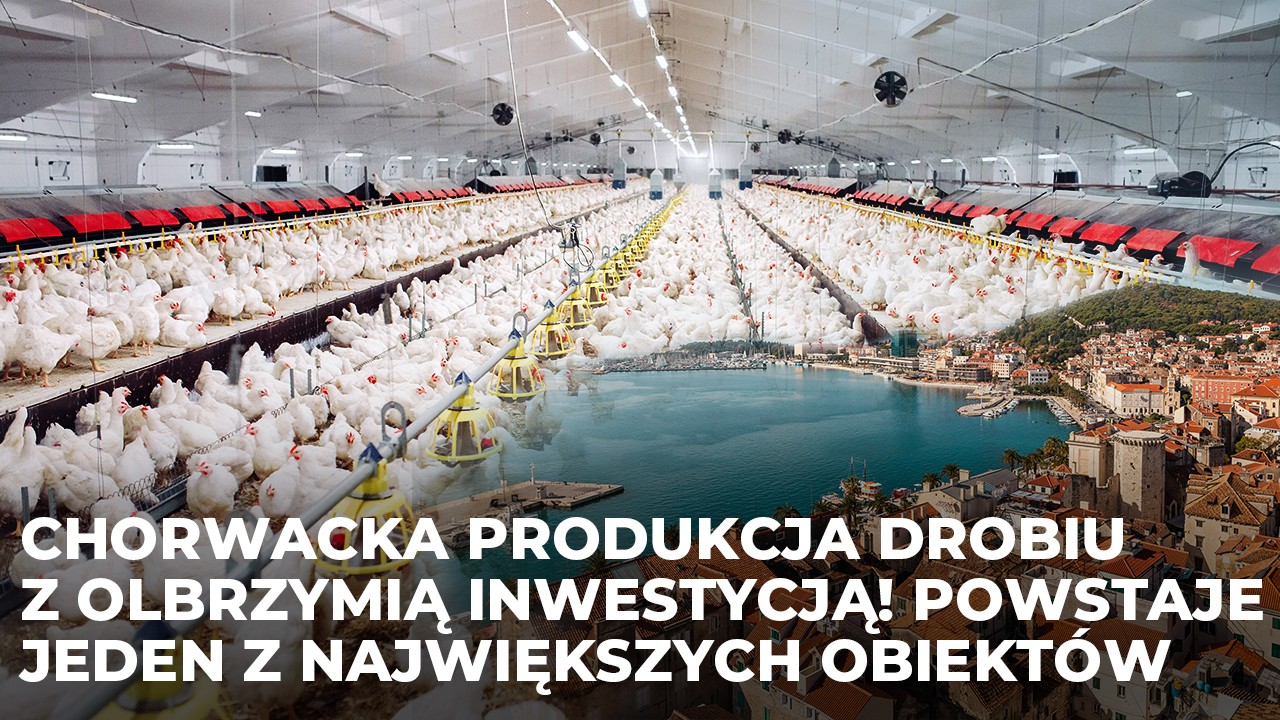 Chorwacka produkcja drobiu z olbrzymią inwestycją! Powstaje jeden z najnowocześniejszych obiektów