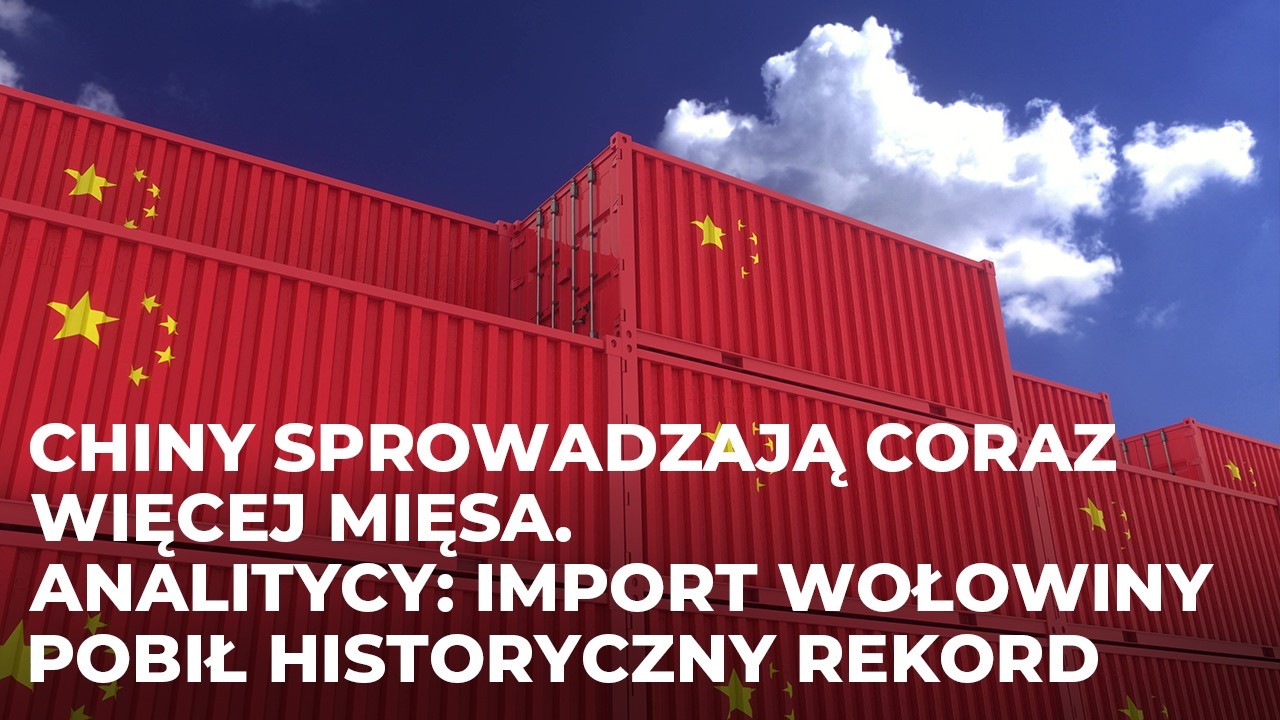 Chiny sprowadzają coraz więcej mięsa Analitycy: Import wołowiny pobił historyczny rekord