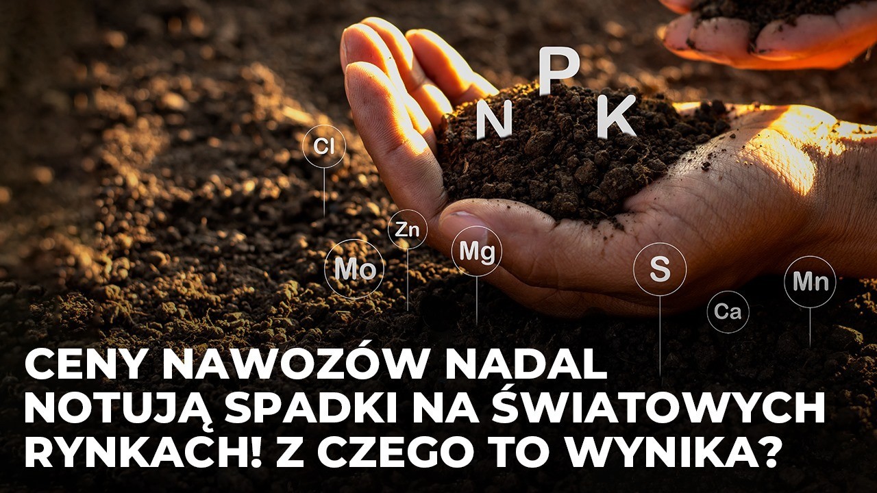 Ceny nawozów nadal notują spadki na światowych rynkach! Z czego wynikają?