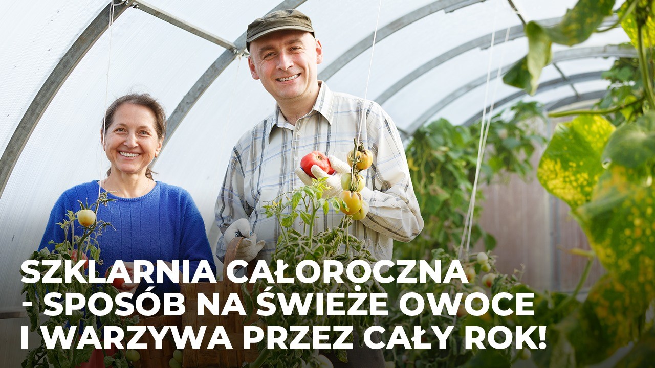 Szklarnia całoroczna – sposób na świeże owoce i warzywa przez cały rok!