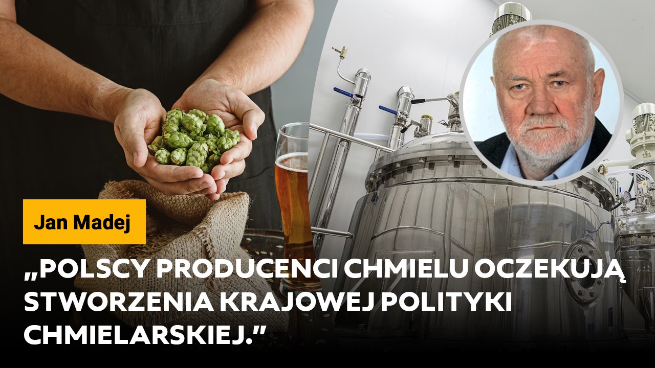 Madej: Polscy producenci chmielu oczekują stworzenia krajowej polityki chmielarskiej